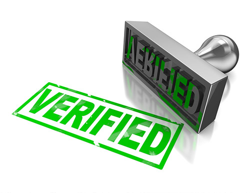 Project Verification services by Saco Construct page visual